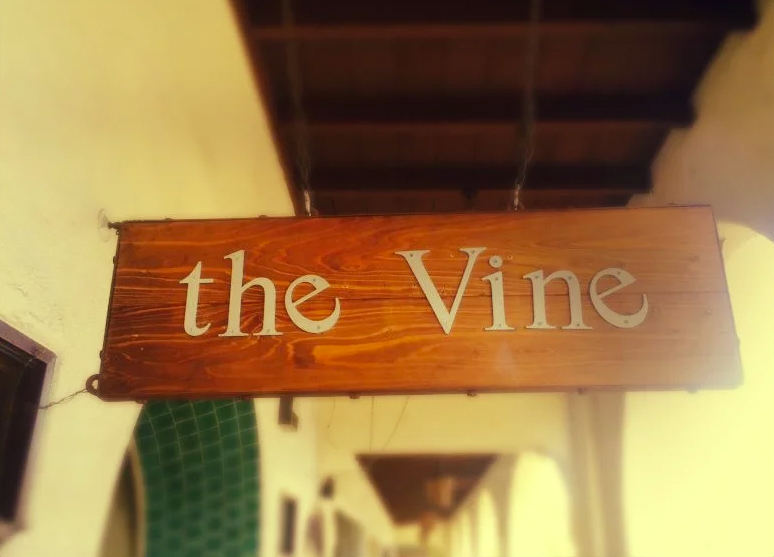 The Vine