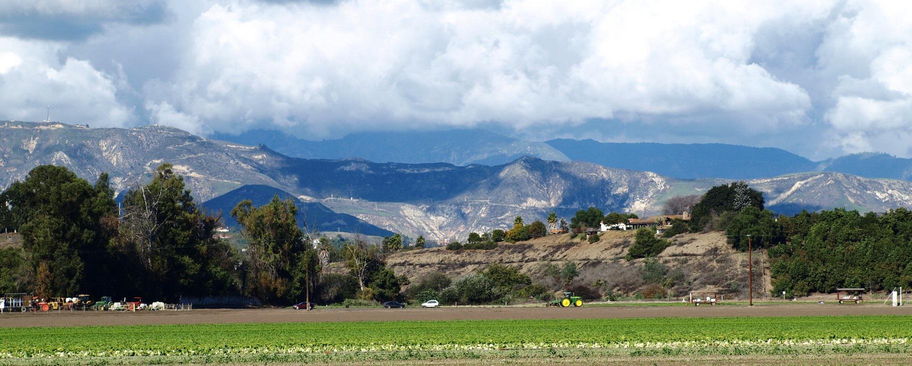 the crew Ojai ca