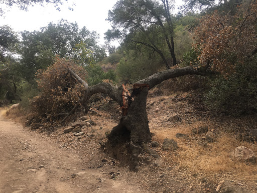 Climate change has besieged Ojai.