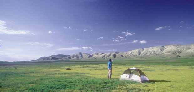 Camping amid goldfields on the Elkhorn Plain in the southeast corner of the Carrizo Plain National Monument.
