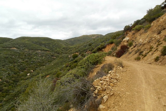matilija canyon trail 
