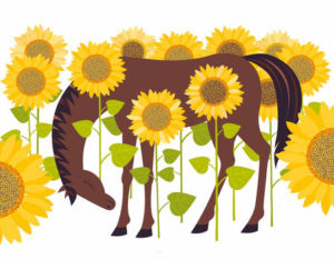 cartoon horse in sunflowers