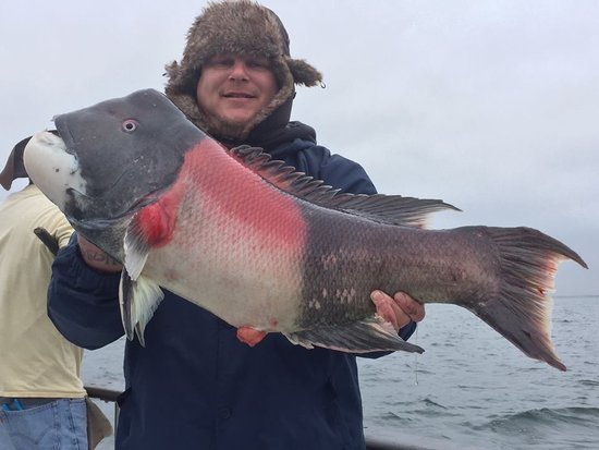 channel island sport fishing. Spring time Rock Fishing is great.