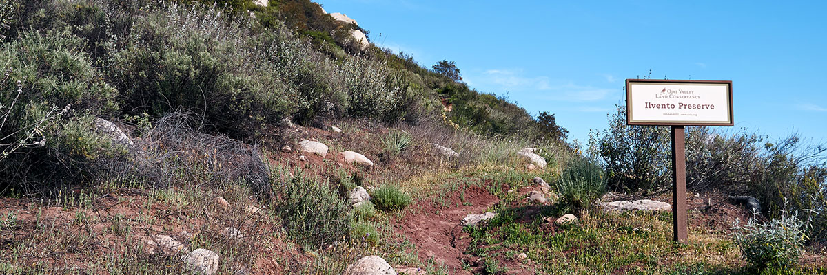 The Ilvento Preserve was the first acquisition by the Ojai Valley Land Conservancy.