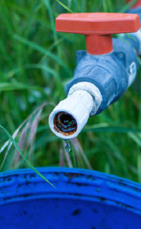 Rainwater capture is an important part of permaculture.