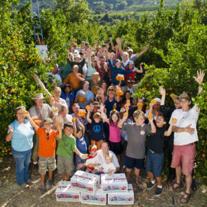 Ojai Pixie Growers Association