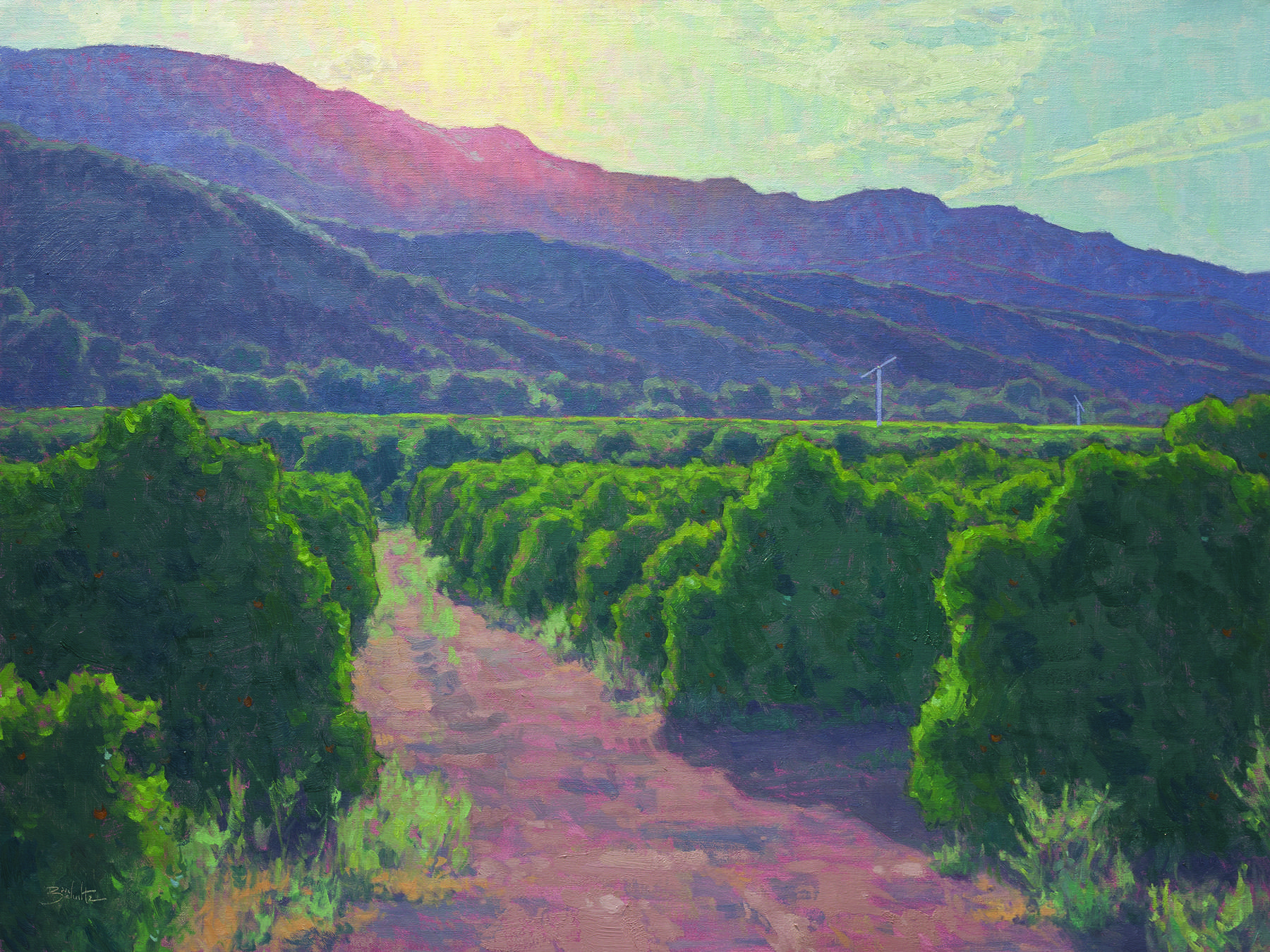 Dan Schultz-Sunlit Orchards-30x40-Oil on Linen Panel